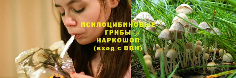 Галлюциногенные грибы MAGIC MUSHROOMS  Кизляр 